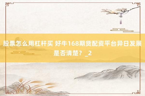 股票怎么用杠杆买 好牛168期货配资平台异日发展是否清楚？_2