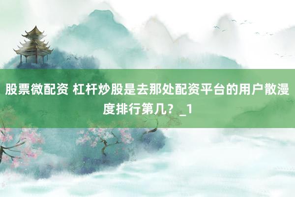 股票微配资 杠杆炒股是去那处配资平台的用户散漫度排行第几？_1